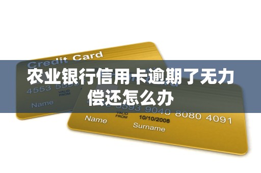 农业银行信用卡逾期了无力偿还怎么办