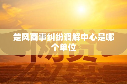 楚风商事纠纷调解中心是哪个单位