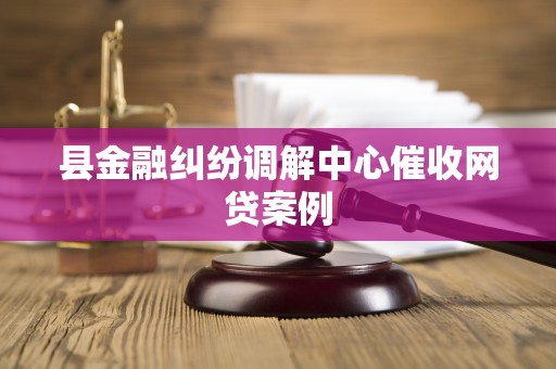 县金融纠纷调解中心催收网贷案例 县金融纠纷调解中心催收网贷案例