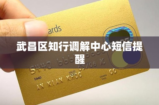 武昌区知行调解中心短信提醒