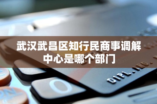 武汉武昌区知行民商事调解中心是哪个部门