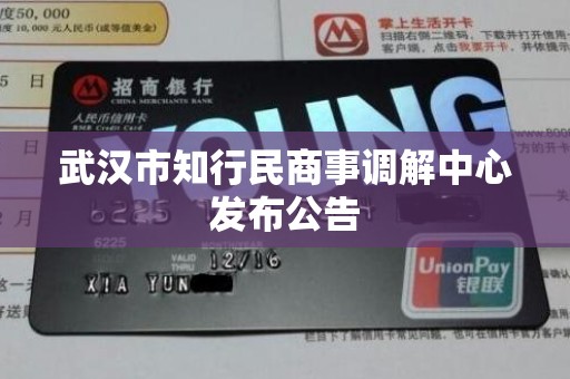 武汉市知行民商事调解中心发布公告