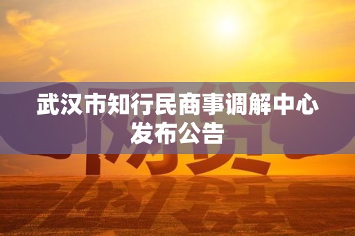 武汉市知行民商事调解中心发布公告