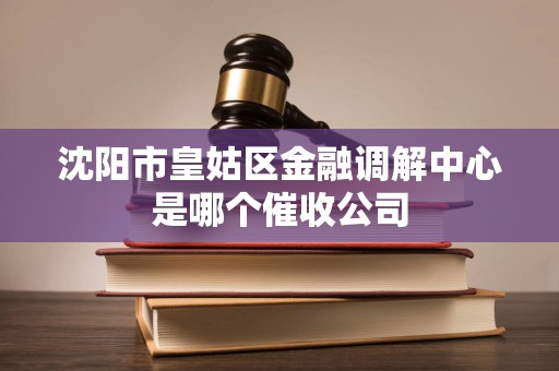 沈阳市皇姑区金融调解中心是哪个催收公司 沈阳市皇姑区金融调解中心是哪个催收公司