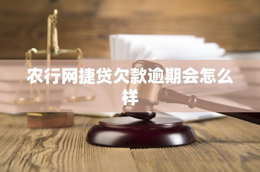 农行网捷贷欠款逾期会怎么样