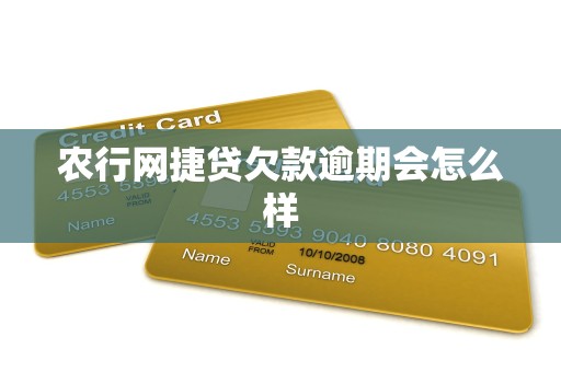 农行网捷贷欠款逾期会怎么样