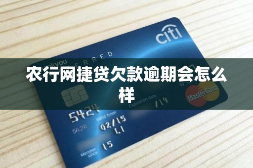 农行网捷贷欠款逾期会怎么样