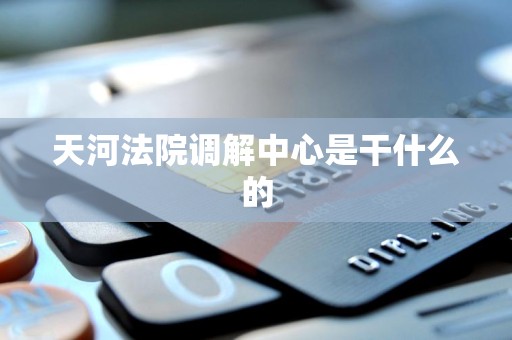 天河法院调解中心是干什么的