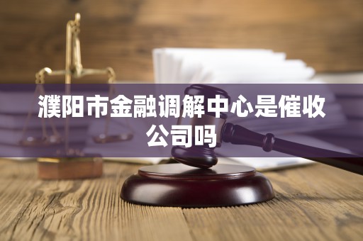 濮阳市金融调解中心是催收公司吗