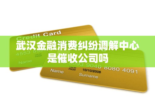 武汉金融消费纠纷调解中心是催收公司吗