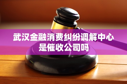 武汉金融消费纠纷调解中心是催收公司吗