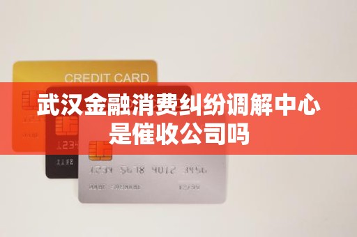 武汉金融消费纠纷调解中心是催收公司吗