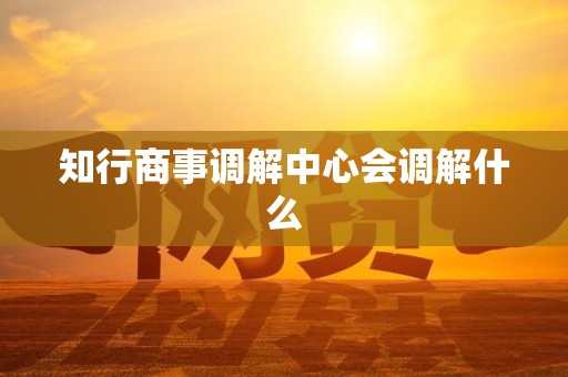 知行商事调解中心会调解什么 知行商事调解中心会调解什么
