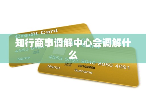 知行商事调解中心会调解什么 知行商事调解中心会调解什么