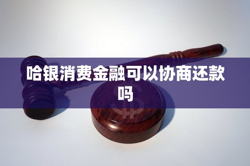 哈银消费金融可以协商还款吗