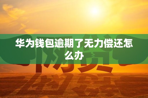 华为钱包逾期了无力偿还怎么办