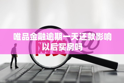 唯品金融逾期一天还款影响以后买房吗