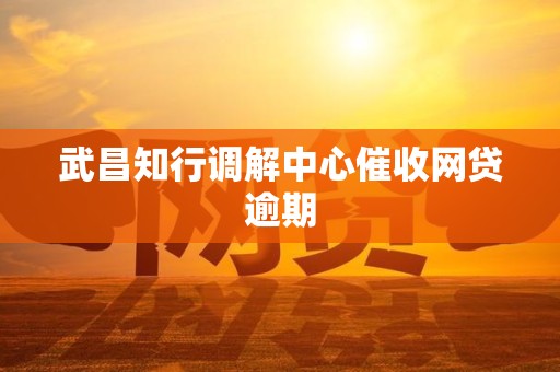 武昌知行调解中心催收网贷逾期