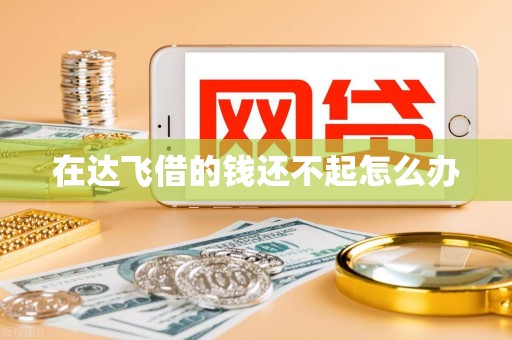 在达飞借的钱还不起怎么办