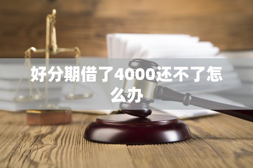 好分期借了4000还不了怎么办 好分期借了4000还不了怎么办