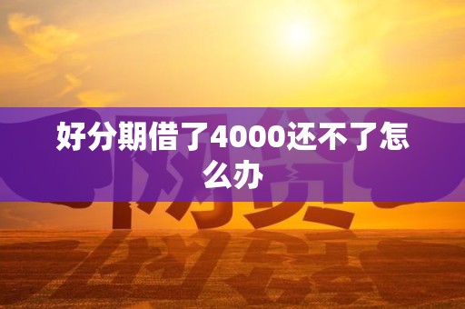 好分期借了4000还不了怎么办 好分期借了4000还不了怎么办