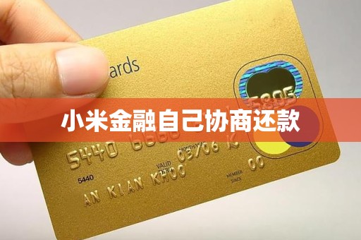 小米金融自己协商还款
