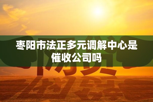 枣阳市法正多元调解中心是催收公司吗 枣阳市法正多元调解中心是催收公司吗