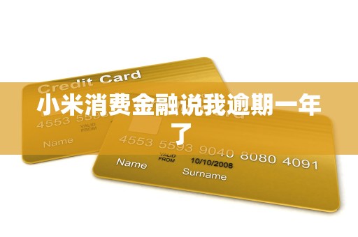 小米消费金融说我逾期一年了