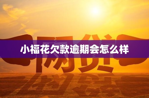 小福花欠款逾期会怎么样