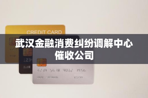 武汉金融消费纠纷调解中心催收公司