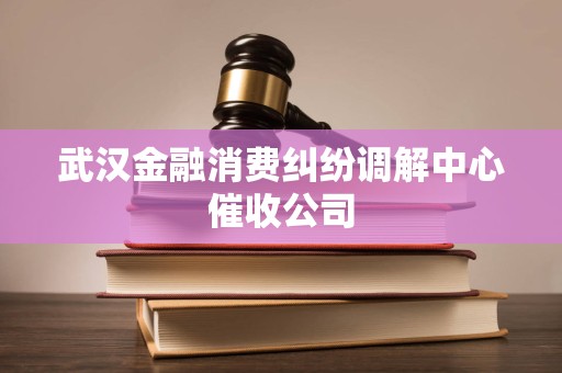 武汉金融消费纠纷调解中心催收公司