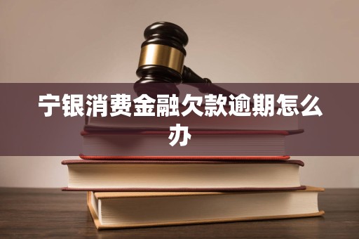 宁银消费金融欠款逾期怎么办