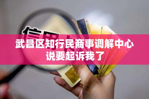 武昌区知行民商事调解中心说要起诉我了 武昌区知行民商事调解中心说要起诉我了