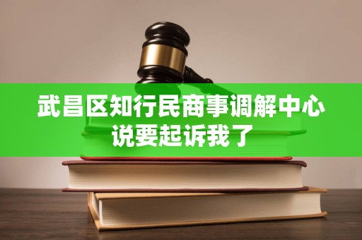 武昌区知行民商事调解中心说要起诉我了 武昌区知行民商事调解中心说要起诉我了
