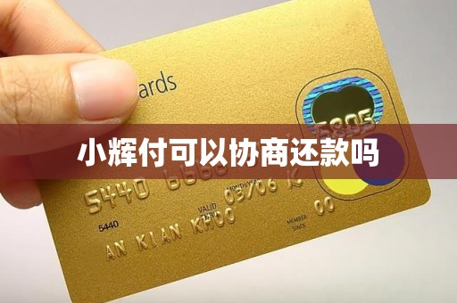 小辉付可以协商还款吗