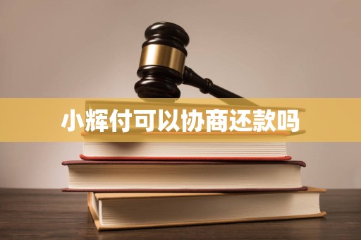 小辉付可以协商还款吗