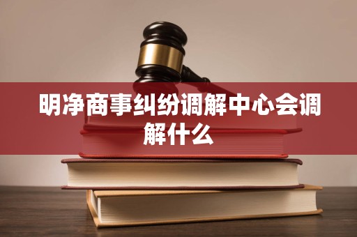 明净商事纠纷调解中心会调解什么