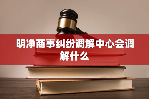 明净商事纠纷调解中心会调解什么