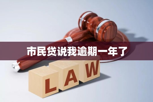 市民贷说我逾期一年了
