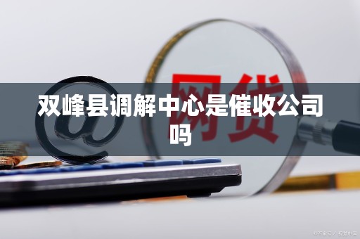 双峰县调解中心是催收公司吗