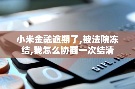 小米金融逾期了,被法院冻结,我怎么协商一次结清