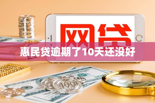 惠民贷逾期了10天还没好