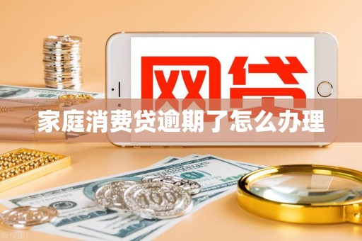 家庭消费贷逾期了怎么办理