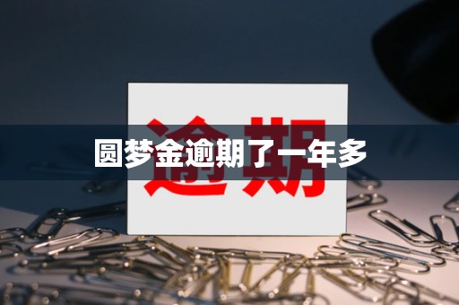 圆梦金逾期了一年多 圆梦金逾期了一年多