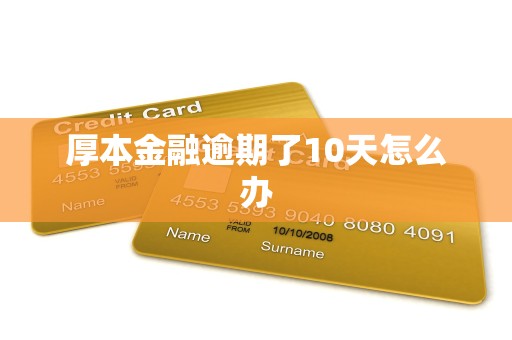 厚本金融逾期了10天怎么办 厚本金融逾期了10天怎么办