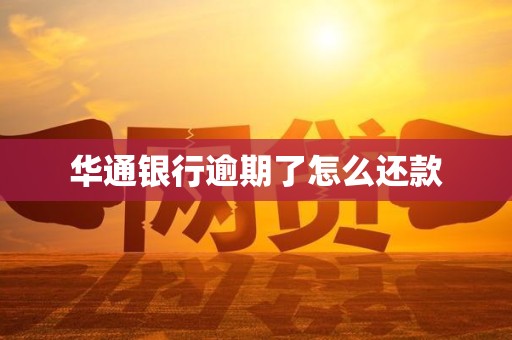 华通银行逾期了怎么还款