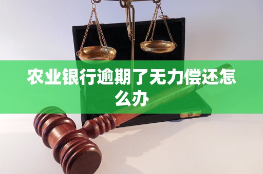 农业银行逾期了无力偿还怎么办