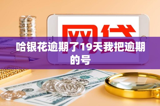 哈银花逾期了19天我把逾期的号 哈银花逾期了19天我把逾期的号