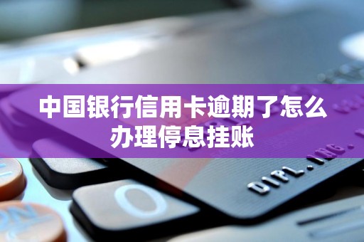 中国银行信用卡逾期了怎么办理停息挂账