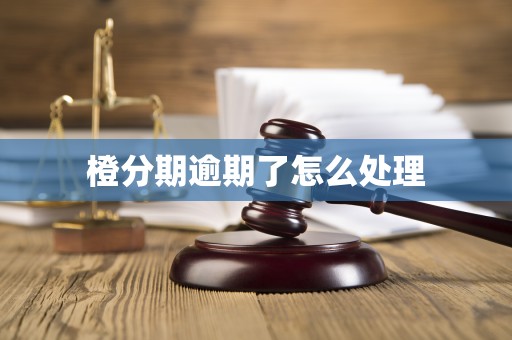 橙分期逾期了怎么处理 橙分期逾期了怎么处理